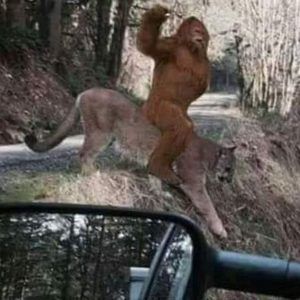 Meet your Posher, Patrick